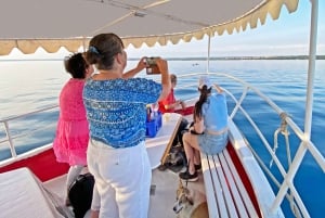 Vanuit Fažana: Dolfijn Zonsondergang Cruise naar Brijuni Nationaal Park