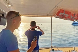 Från Fažana: Solnedgångskryssning med delfiner till Brijuni nationalpark