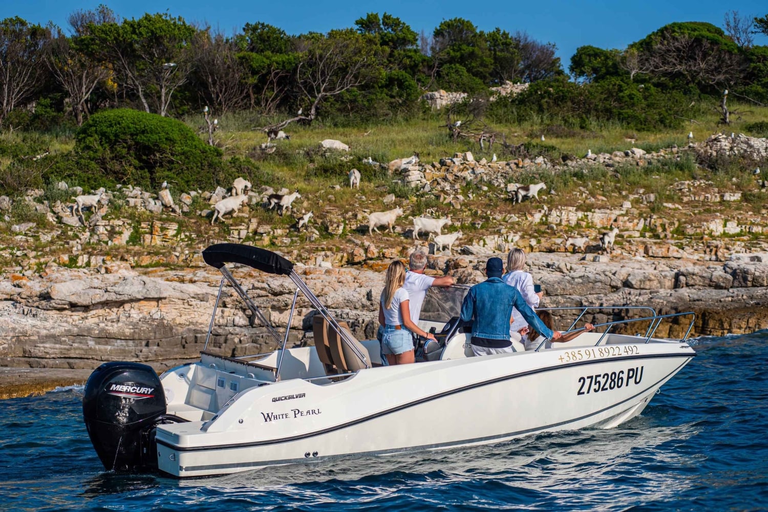 Z Fažany: Prywatna wycieczka łodzią po wyspach Brijuni
