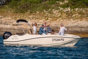 Z Fažany: Prywatna wycieczka łodzią po wyspach Brijuni