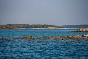 Z Fažany: Prywatna wycieczka łodzią po wyspach Brijuni