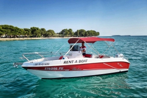 From Fazana: Private sunset dolphin tour