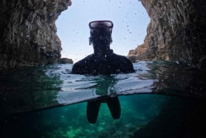 Från Fažana: snorkling vid havsgrotta och ön Brijuni