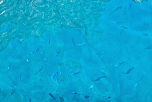 フヴァル発：青の洞窟、緑の洞窟、5つの島々を巡るスピードボートツアーをお楽しみください