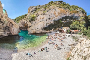 Från Hvar: Blå grottan grupp speedboat tur hela dagen