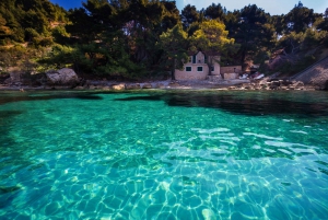 From Hvar: Hvar South and Pakleni Islands Private Boat Tour