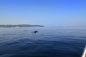Van Hvar: Onvergetelijke tour naar het eiland Vis en de Blauwe Grot