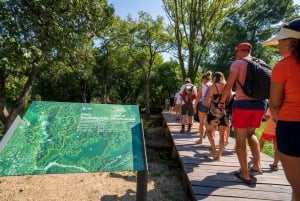 Ab Kaštela oder Solin: Tour zu den Krka-Wasserfällen