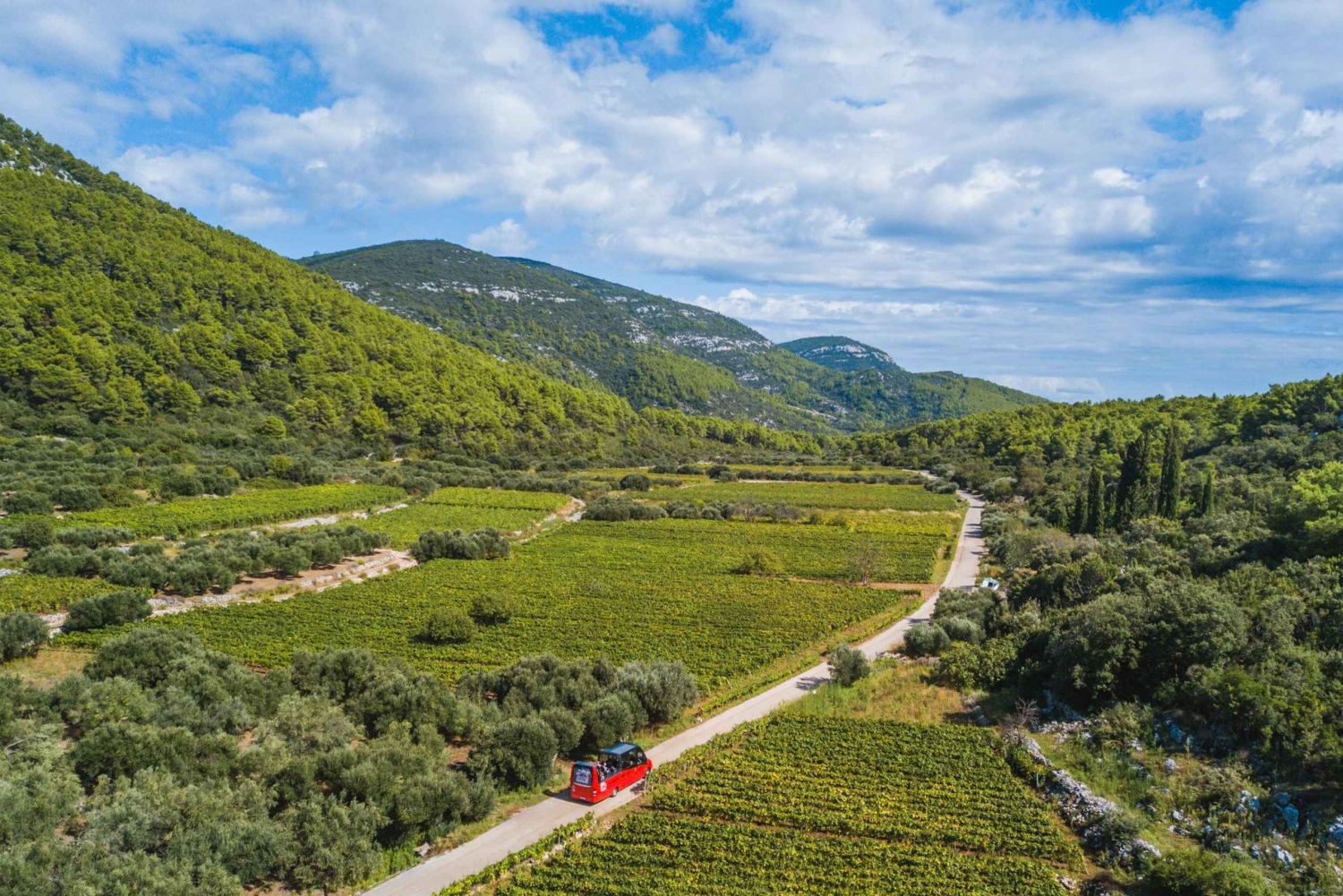 From Korcula Town: Local Wine & Sightseeing Half-Day Tour