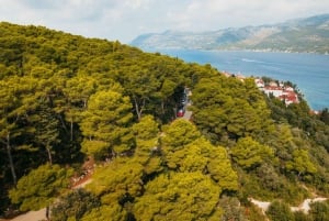 From Korcula Town: Local Wine & Sightseeing Half-Day Tour