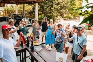 From Korcula Town: Local Wine & Sightseeing Half-Day Tour