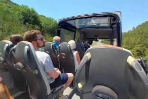 From Korcula Town: Local Wine & Sightseeing Half-Day Tour