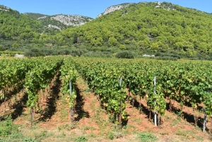From Korcula Town: Local Wine & Sightseeing Half-Day Tour