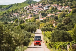 From Korcula Town: Local Wine & Sightseeing Half-Day Tour