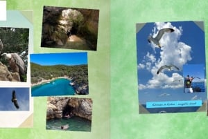 Из Крка, Риеки: откройте для себя 4 острова, тур на катамаране и лодке