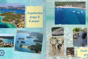 Fra Krk til Rijeka: Oppdag de 4 øyene, katamaran og båttur