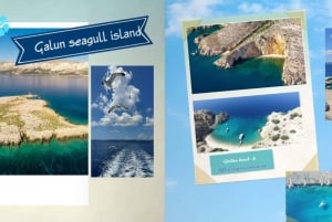 Från Krk till Rijeka: Upptäck 4 öar, katamaran & båttur