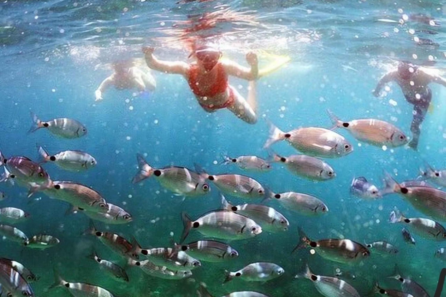 Makarscasta: Koko päivän yksityinen pikaveneajelu 3 saarelle