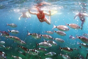 マカルスカ発：終日プライベート高速ボートツアー（3島巡り）