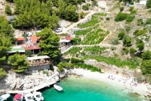 マカルスカ発：終日プライベート高速ボートツアー（3島巡り）