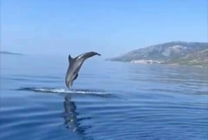 From Makarska:Hvar and Brač Island : Day Tour with speedboat