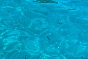 From Makarska:Hvar and Brač Island : Day Tour with speedboat