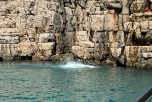 From Makarska:Hvar and Brač Island : Day Tour with speedboat