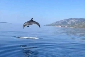 Makarskasta: Hvarin ja Bračin saari : Päiväretki pikaveneellä