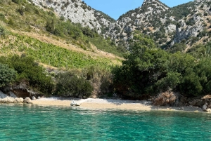 Makarskasta: Hvarin ja Bračin saari : Päiväretki pikaveneellä