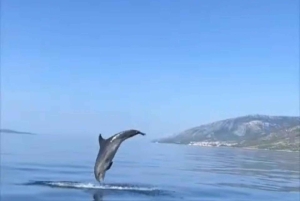 Makarskasta: Hvarin ja Bračin saari : Päiväretki pikaveneellä