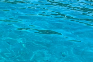 Makarskasta: Hvarin ja Bračin saari : Päiväretki pikaveneellä