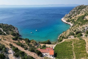 Makarskasta: Hvarin ja Bračin saari : Päiväretki pikaveneellä