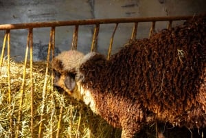 マカルスカ：三湖探訪＆火曜ザドヴァリェ市場