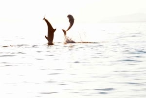 Makarska: 3 island, Cave, Cliffs, Jelsa, Lagoon, beach swing