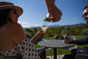 Von der Makarska Riviera: Weinverkostungstour nach Grabovac