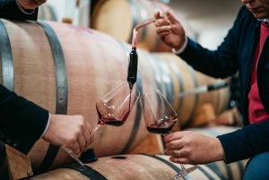 Von der Makarska Riviera: Weinverkostungstour nach Grabovac