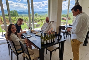 Von der Makarska Riviera: Weinverkostungstour nach Grabovac