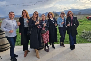 Von der Makarska Riviera: Weinverkostungstour nach Grabovac