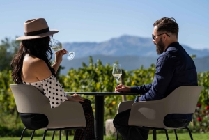 Von der Makarska Riviera: Weinverkostungstour nach Grabovac