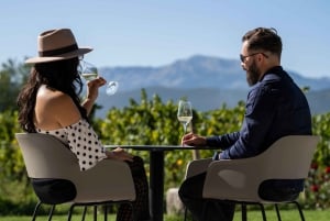 From Makarska Riviera : Wine Tasting Grabovac Tour