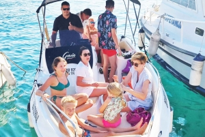 From Makarska: Zlatni Rat & Bol Speedboat Tour with Swimming