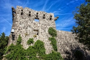 Da Milna, Supetar, Spalato: tour guidato dell'isola di Brač