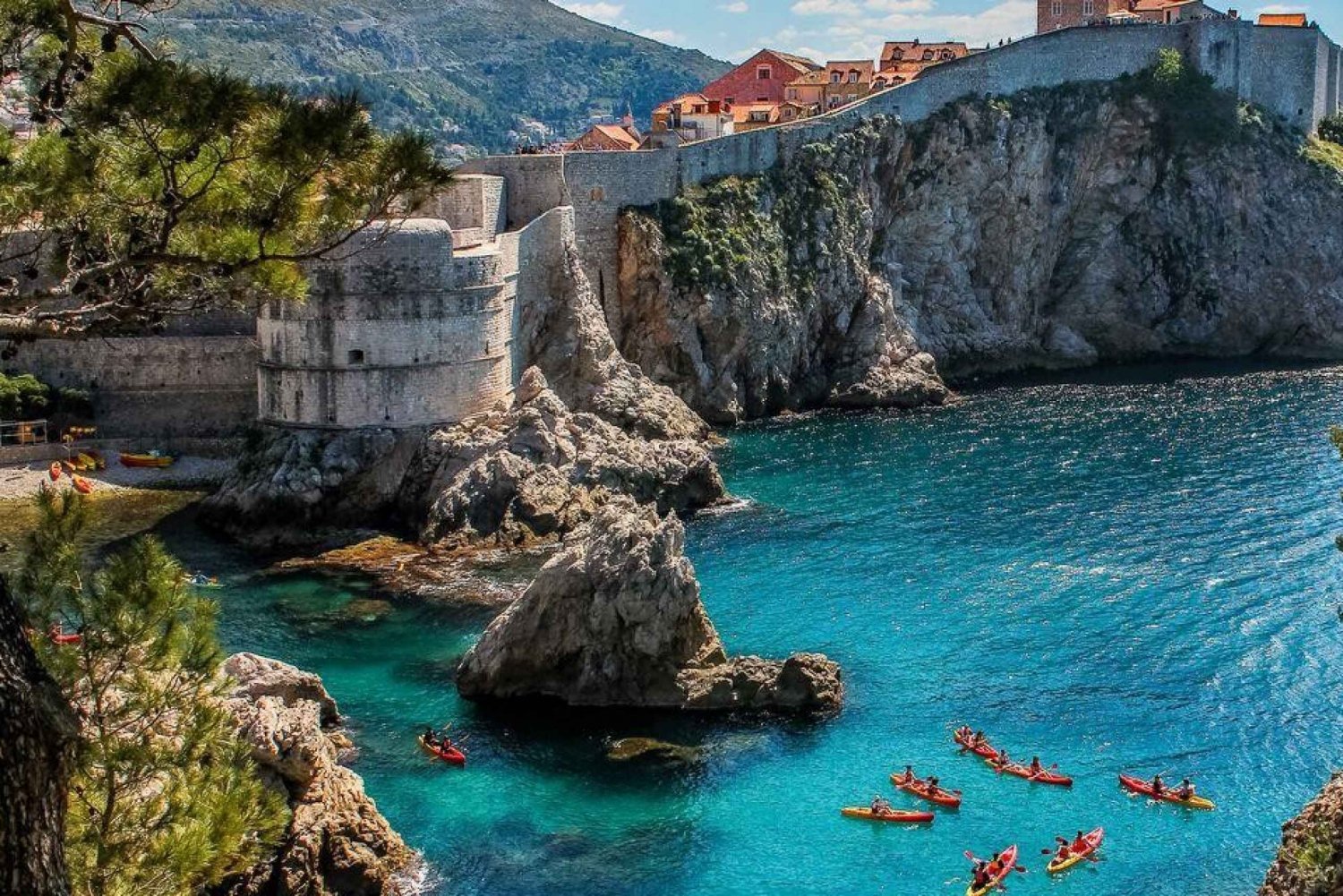 Desde Montenegro: Dubrovnik Tour privado