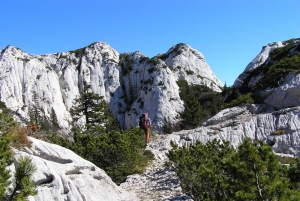 From Novalja: Excursion to Paklenica National Park
