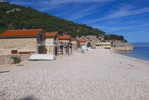 Fra Opatija/Lovran: Svøm på øya Cres og besøk byen Beli