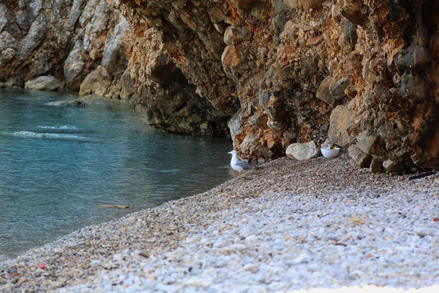 Z Opatiji: Pływanie na wyspie Cres jak syrenka