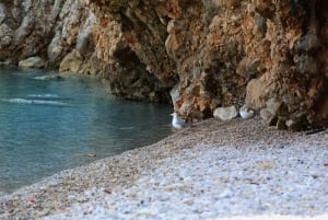 Z Opatiji: Pływanie na wyspie Cres jak syrenka