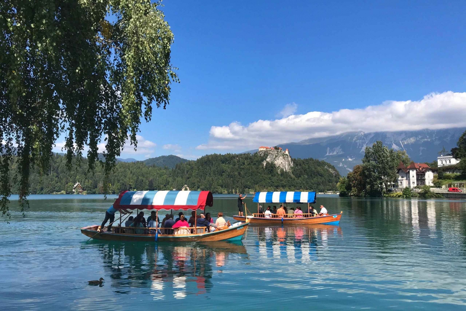 From Porec: Alpine Jewel Lake Bled