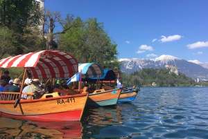 Från Porec: Alpina juvelen Lake Bled