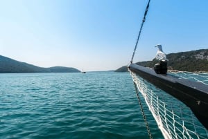 Fra Poreč: Dagstur med båt til Rovinj med fiskelunsj